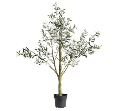 Faux Potted Olive Trees