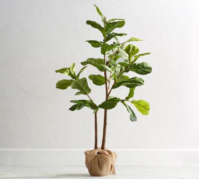 Faux Potted Fiddle Leaf Fig Trees