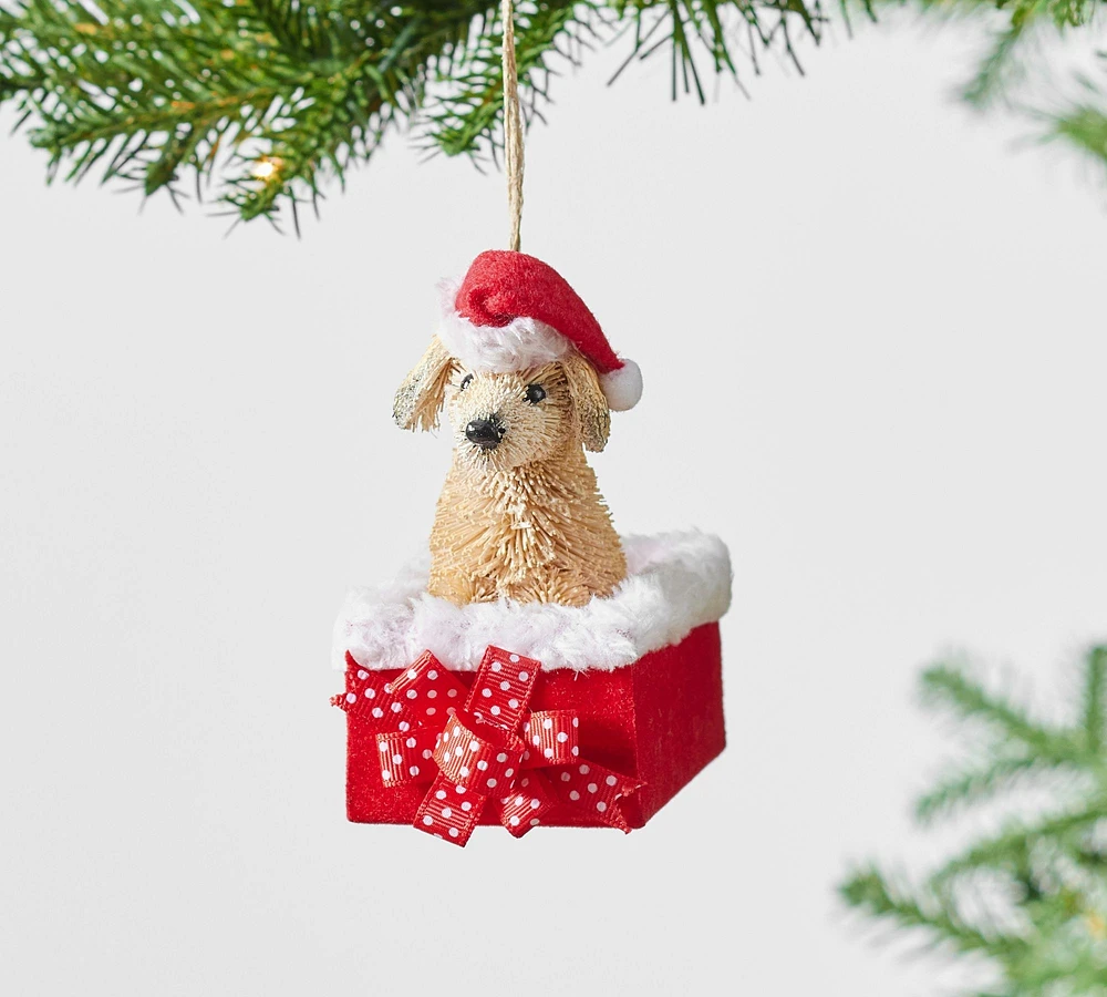 Bottlebrush Puppy in a Present Ornament