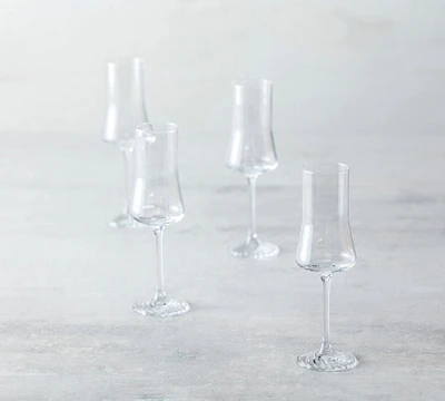 Echo Grappa Glasses, Set of 4