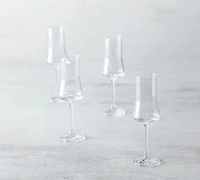 Echo Grappa Glasses, Set of 4