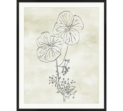 Blooming Sketch Framed Print