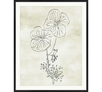 Blooming Sketch Framed Print