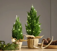 Faux Lit Topiary Pine Tree