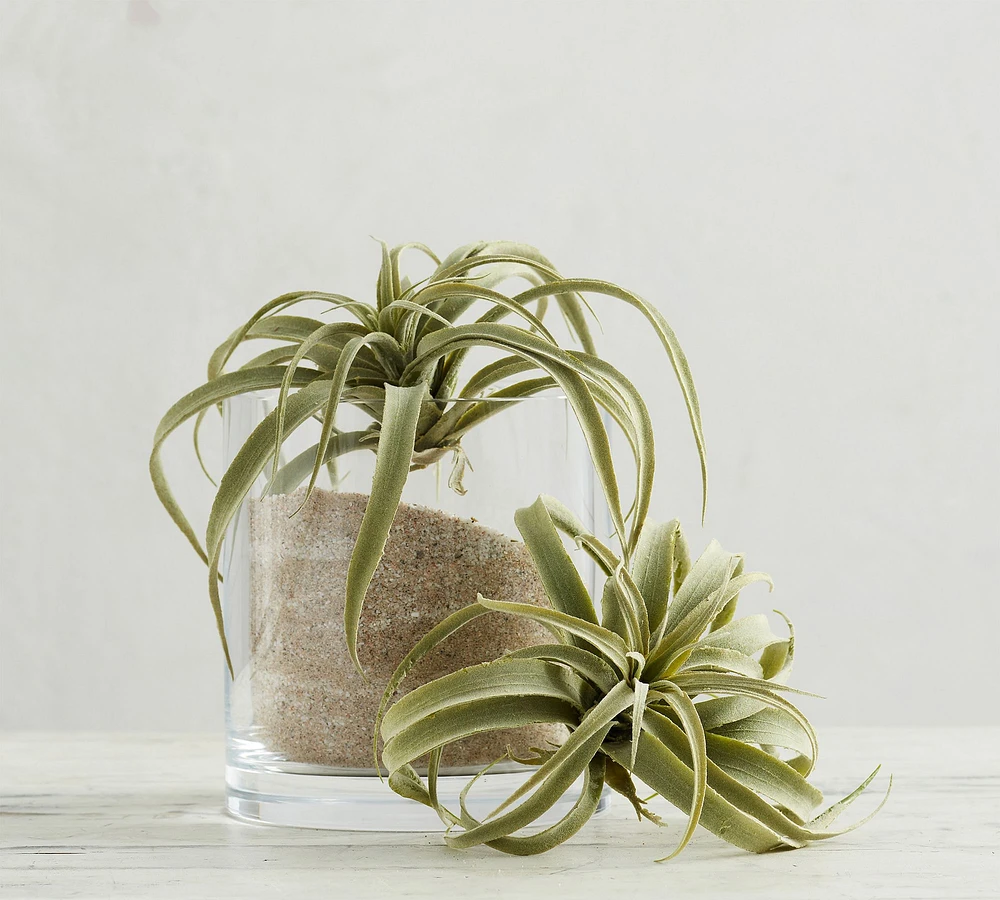 Faux Tillandsia Succulent Stem