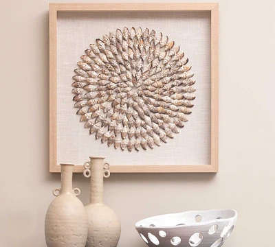 Tulip Shell Shadow Box Wall Art