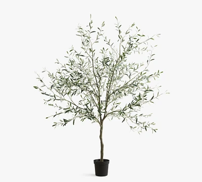 Faux Olive Trees