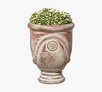 Mariana Anduze Glazed Terra Cotta Planter