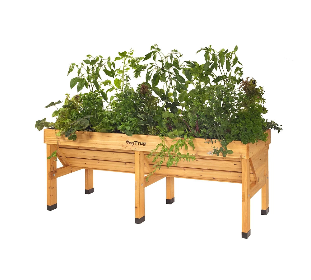 Vegtrug Raised Garden Bed