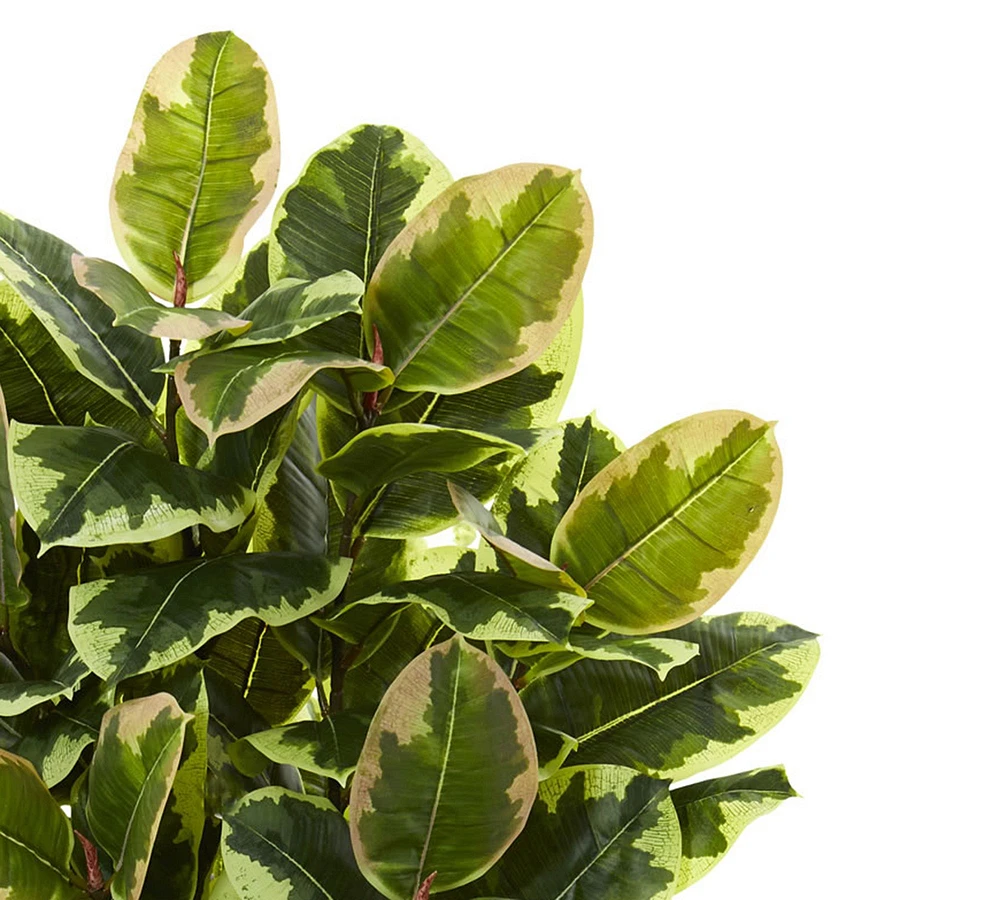 Faux Variegated Rubber Leaf Plant in White Tower Vase