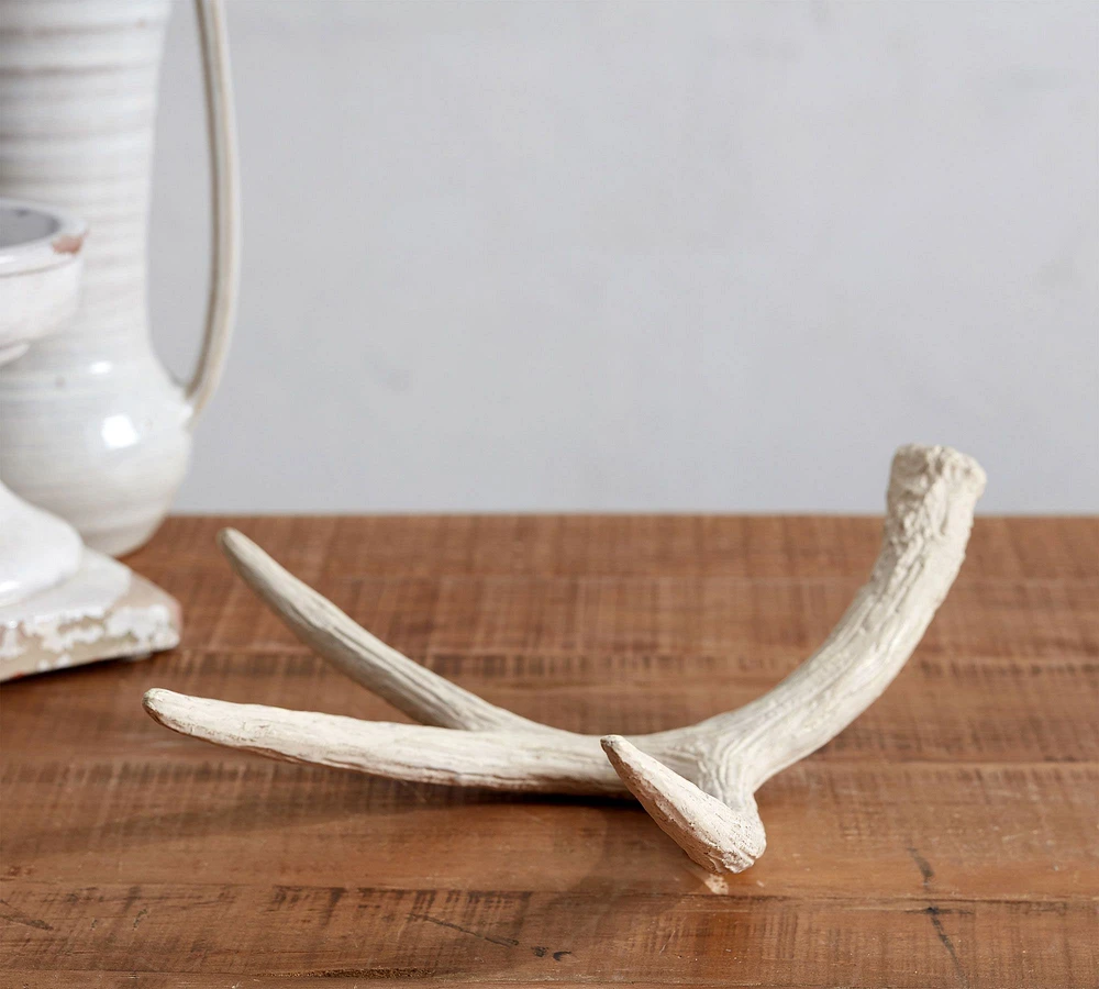 Antler Decorative Object