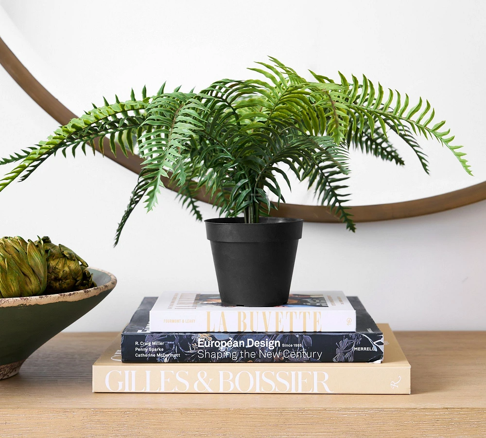 Faux Potted Wild Fern