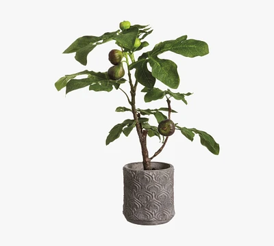 Faux Fig Tree In Terracotta Planter