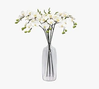 Faux Orchid Phalaenopsis Half Dozen Sprays