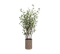 Faux Cornus Trees Terracotta Planter