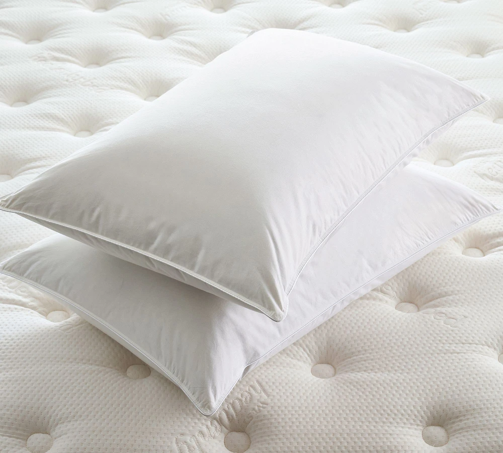 Westin® Feather & Down Pillow