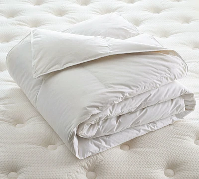 Westin® Down Duvet Insert