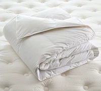 Westin® Down Duvet Insert