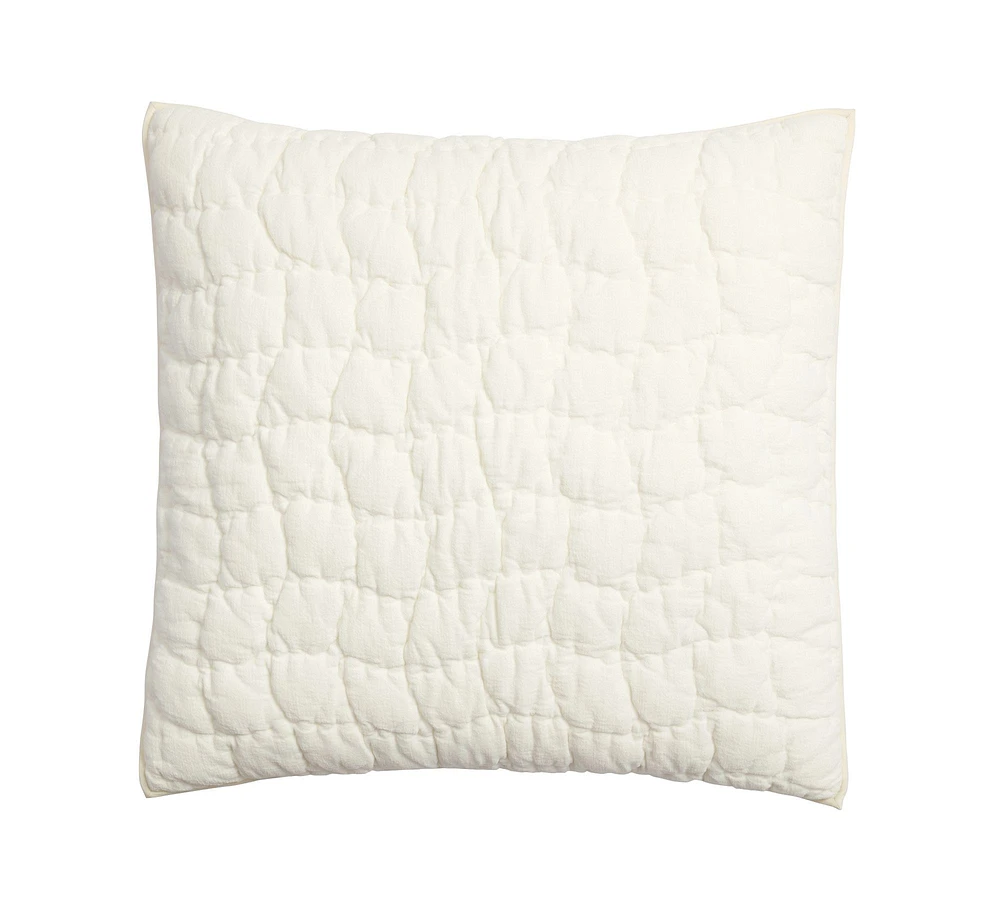 Cozy Cloud Quilted Sham