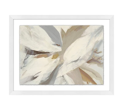 Petal White Framed Print