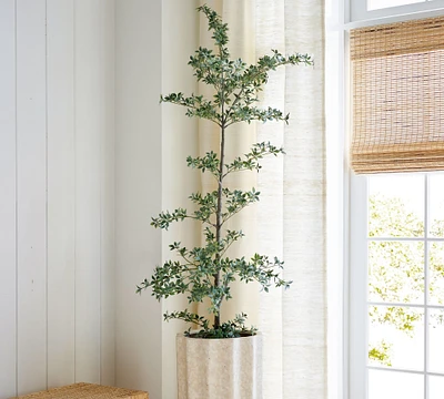 Faux Black Olive Tree