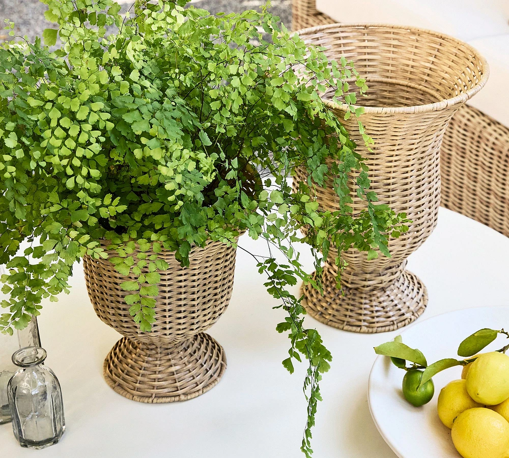 Huntington Rattan Pedestal Vase