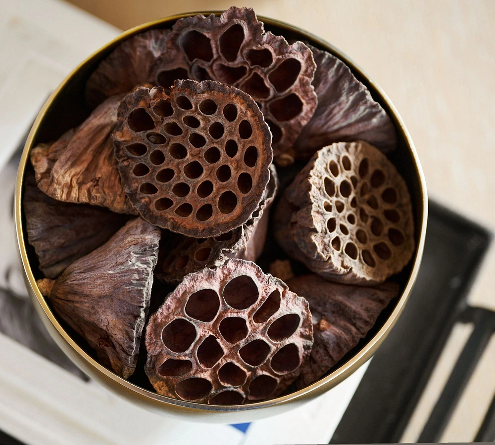 Lotus Pod Vase Filler