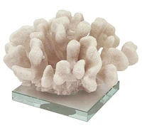 White Pocillopora Coral on Clear Glass Base