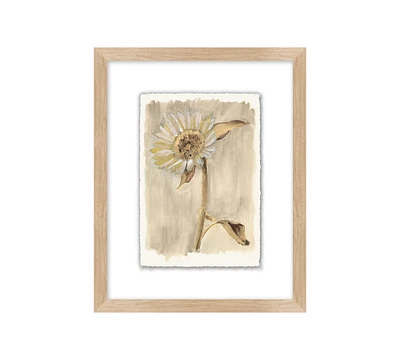 Neutral Daisy Print Wall Art