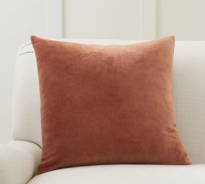 Everywhere Velvet Pillow