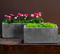 Tallulah Fiber Cement Rectangle Planters