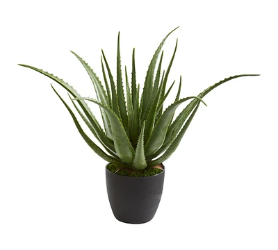 Faux Aloe Plant