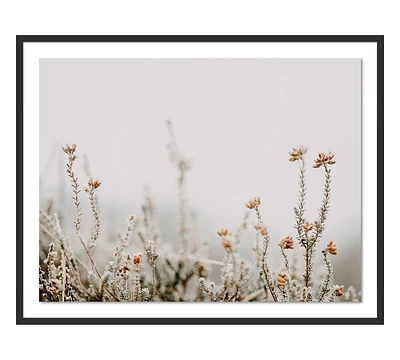 The Details II Framed Print By Annie Spratt