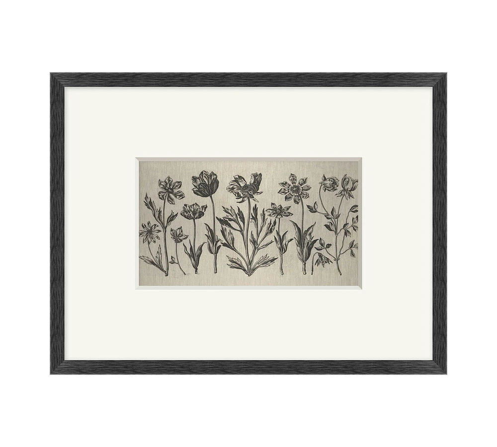Floral Etching Framed Print