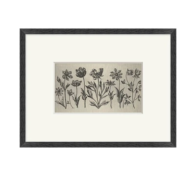 Floral Etching Framed Print
