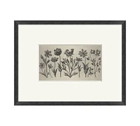 Floral Etching Framed Print