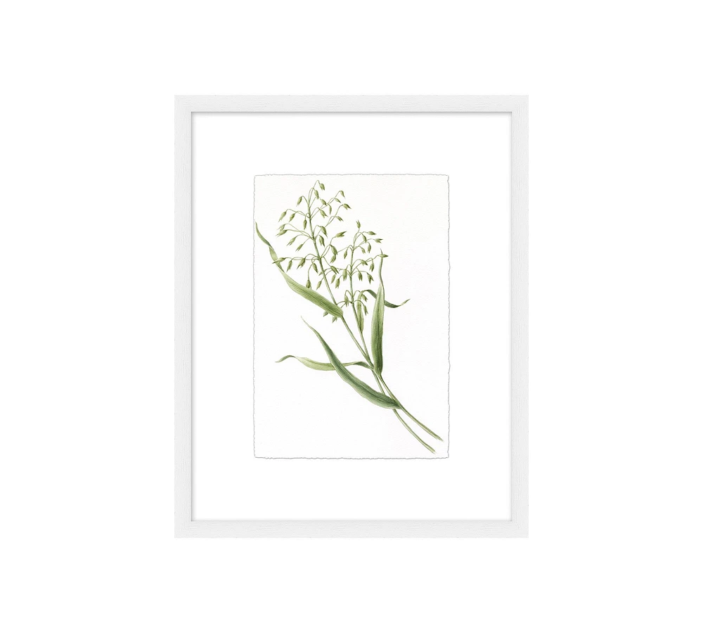 Monique Lhuillier Olive Botanical Framed Print