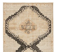 Open Box:Demitria Hand-Knotted Wool Rug