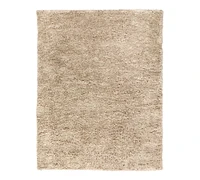 Curtis Performance Shag Rug