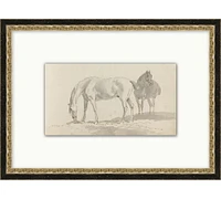 Sketched Horses Framed Print