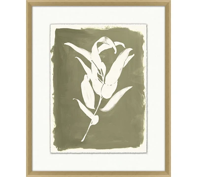 Open Leaves Framed Print