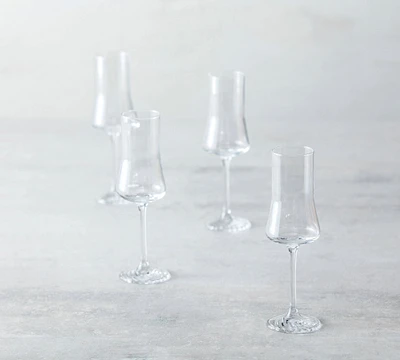 Echo Grappa Glasses, Set of 4