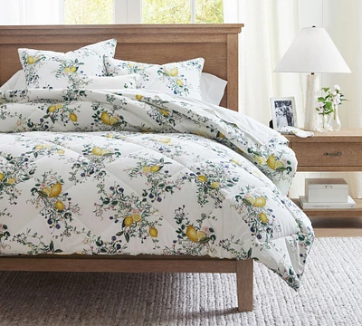 Monique Lhuillier Positano Percale Comforter