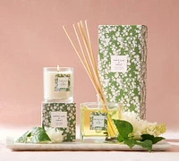 Bloom Scent Collection - White Lilac & Violet