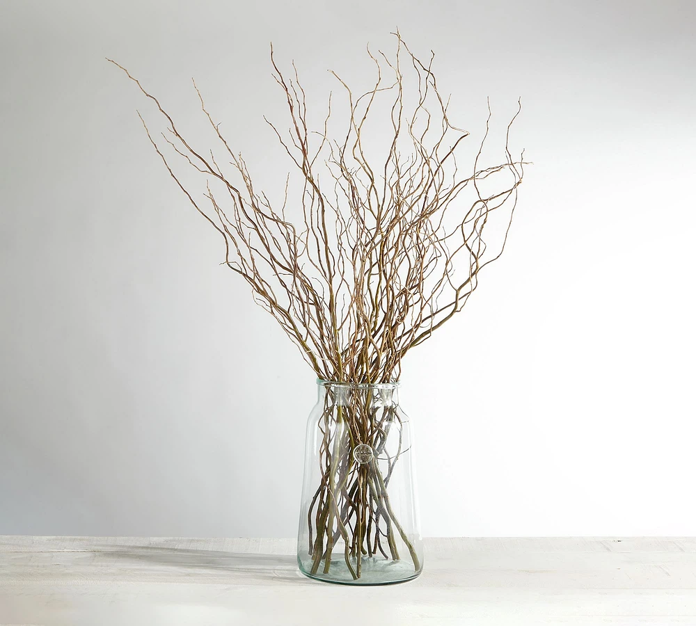 Live Curly Willow Branches
