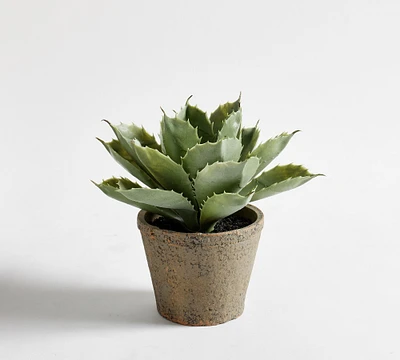 Faux Potted Aloe Succulent