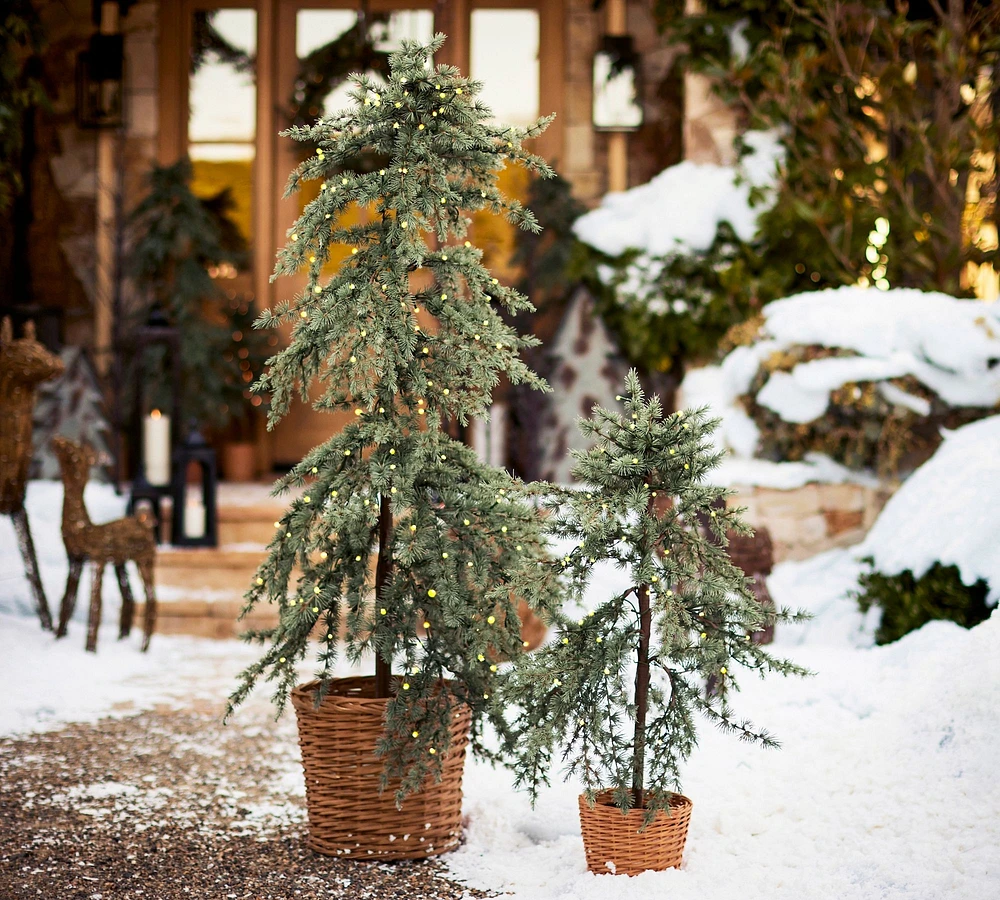 Lit Faux Draping Tree Basket