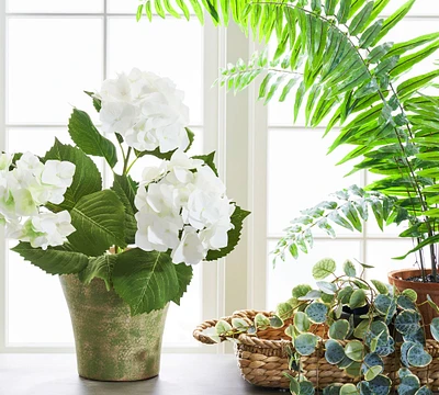 Faux White Hydrangea