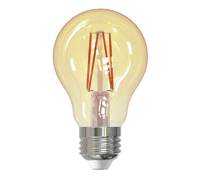 A19 Antique Filament LED Bulb - Pack of 2