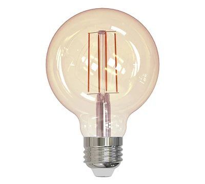 G25 Antique Globe Filament LED Bulb - Pack of 2